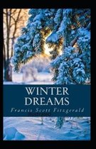 Winter Dreams Illustrated