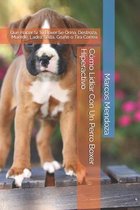Como Lidiar Con Un Perro Boxer Hiperactivo