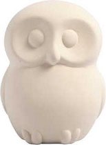 Spaaruil, h: 10 cm, 8stuks