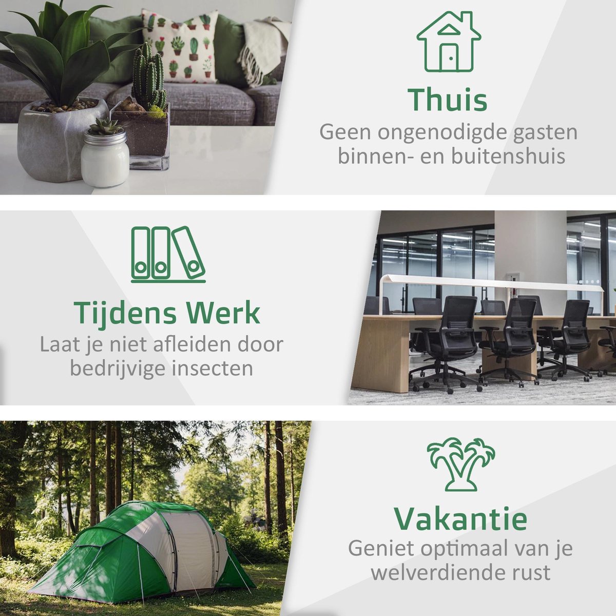 Timto Insectenvanger - Spinnenvanger - Vliegenvanger - Insectenpotje voor kinderen - Insectenkijker - Spinnen verjager - Wespenval - Wespenverjager - Duurzaam - Snapy - Voor Binnen - Wespen - Vlieg - Lange Steel - Insectendoos - Insectenzuiger — afbeelding 5