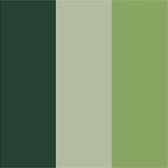 Ensemble de marqueurs de couleur Plus. largeur de trait: 1-2 mm. L: 14,5 cm. vert foncé. eucalyptus. vert Feuille. 3 pièces. 5,5 ml [HOB-39897]