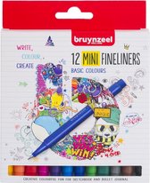 Bruynzeel Fineliner mini set 12 couleurs