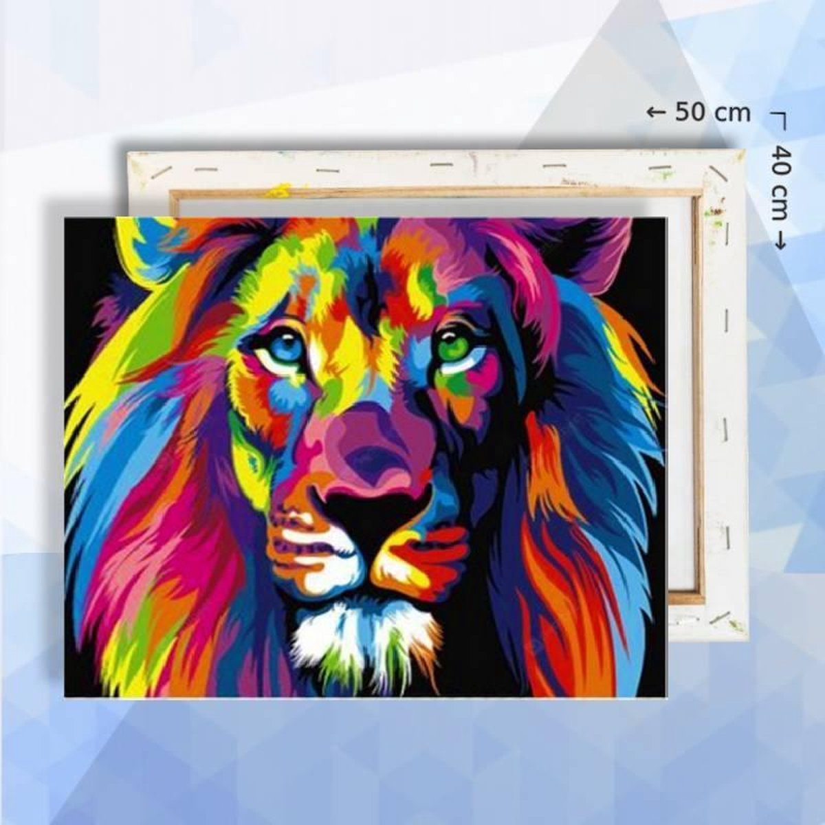 Schilderen op nummer pakket kleurrijke Leeuw 50 x 40 cm - met frame