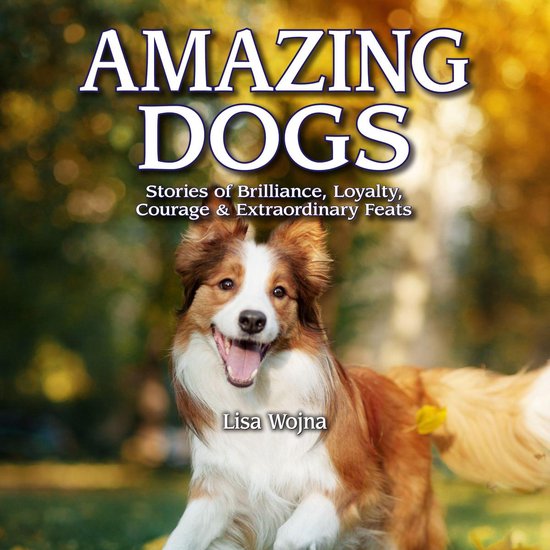 Amazing Dogs - cover