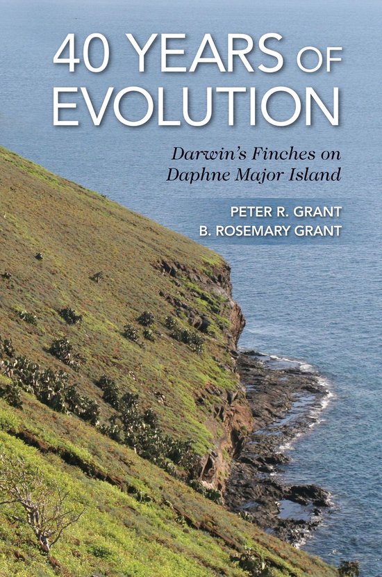 40 Years of Evolution - cover