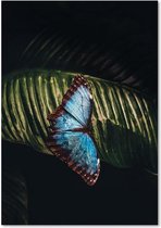 Schilderij Vlinder op een blad, 4 maten (wanddecoratie)