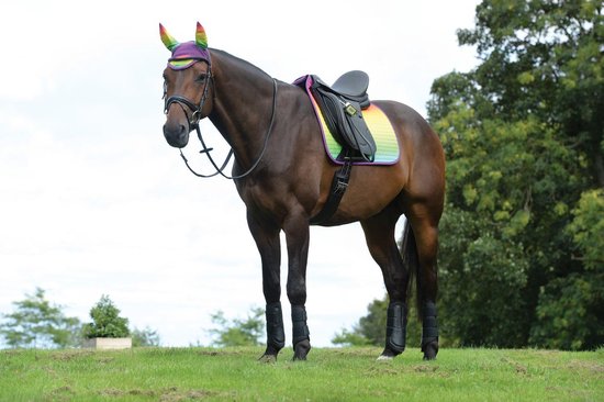 DW4Trading® Weatherbeeta paarden zadeldekje prime ombre dressuur rainbow  lust full | bol.com