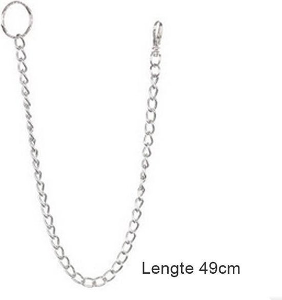 cxxtkcxxlc 2 stuks sleutelhangers van roestvrij staal, 50 cm, broekketting voor heren, sleutelketting met karabijnhaak en sleutelring, portemonnee ketting voor sleutels, tassen en meer, zilver, Eén