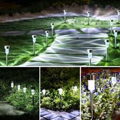 GloBrite 10-pack Solar tuinverlichting Garden Stake Lights roestvrij staal