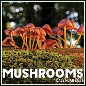 Mushrooms Calendar 2021