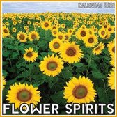 Flower Spirits Calendar 2021