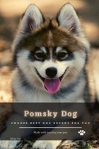 Pomsky Dog