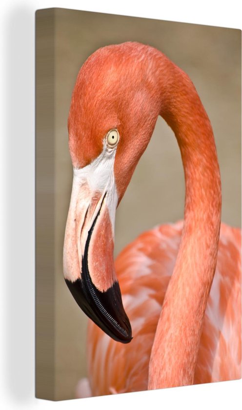 Canvas Schilderij Een close-up van een flamingo in ruststand - 60x90 cm - Wanddecoratie