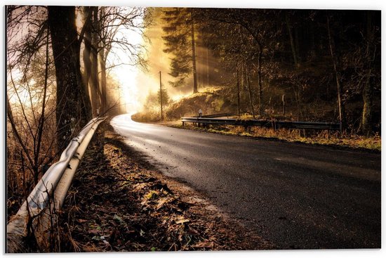 Dibond - Weg Langs het Bos in de Bergen - 60x40cm Foto op Aluminium (Wanddecoratie van metaal)