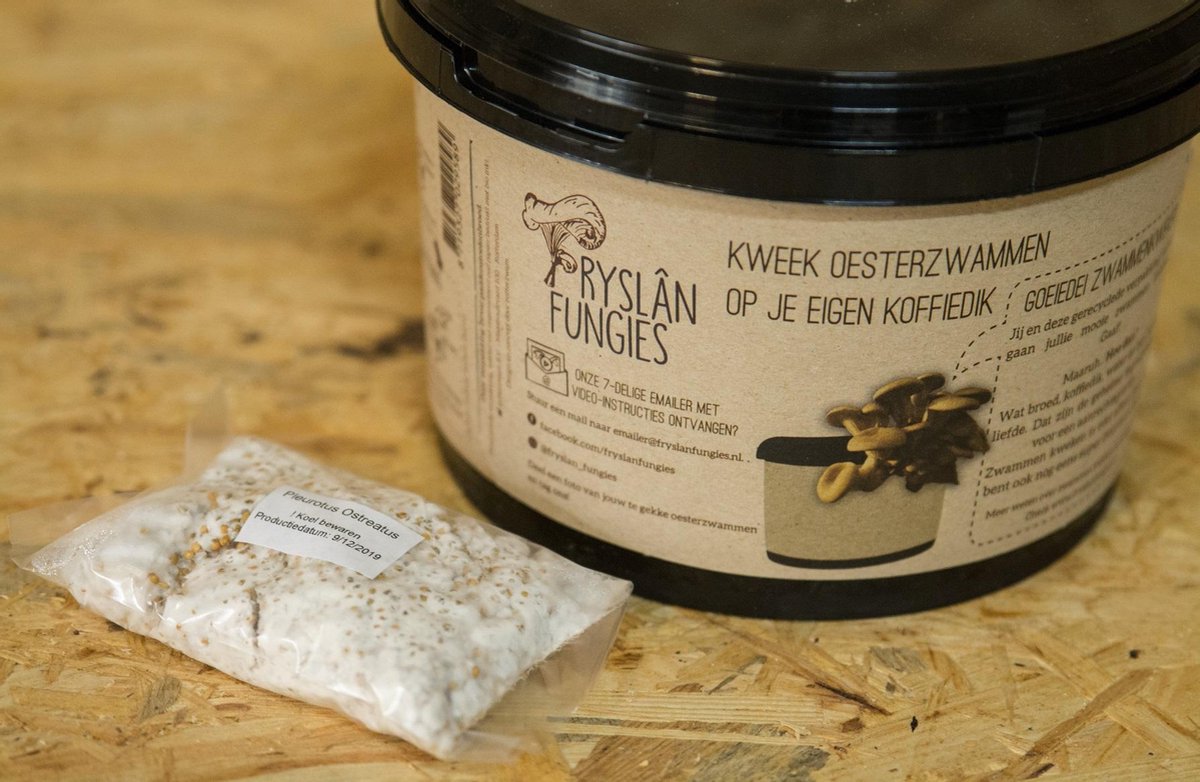 Oesterzwam Growkit – Zelf Paddenstoelen Kweken op Koffiedik – Herstartbaar & Duurzaam Cadeau – Gerecycled Plastic – Sociaal geproduceerd in Nederland – Fryslân Fungies - Aanrecht moestuin - Van Koffie naar Paddenstoel — cadeau in Hobby - foto 3