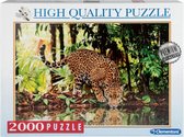 Clementoni High Quality puzzel - Luipaard- 2000 stukjes