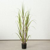 Plant in pot - Sugarcane gras - 120cm - Groen - Kunststof