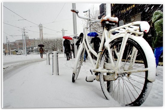 Forex - Witte Fiets in de Sneeuw - 60x40cm Foto op Forex