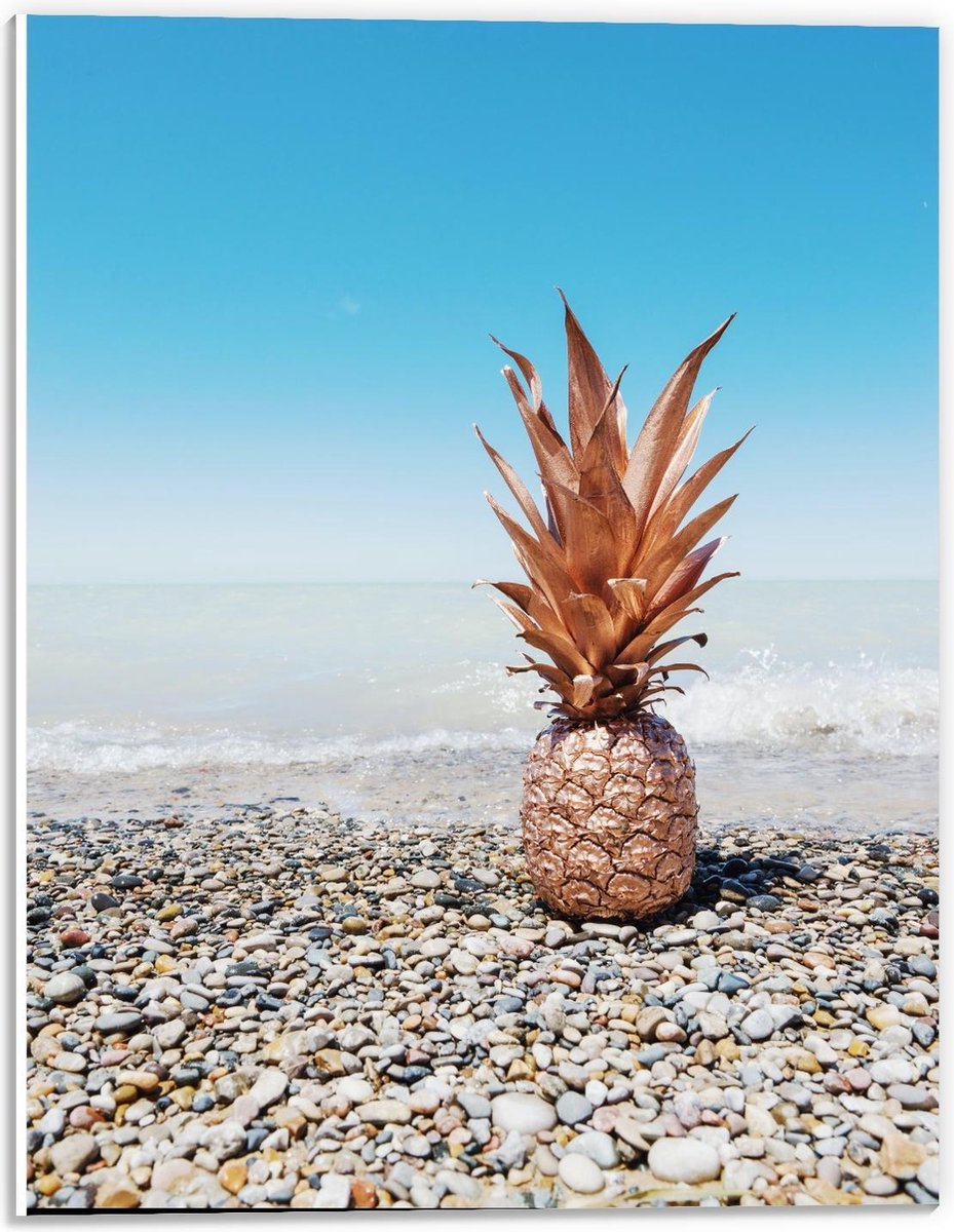 KuijsFotoprint - Schilderij - Gekleurde Ananas Een Mooi Strand - Multicolor - 40 X 30 Cm