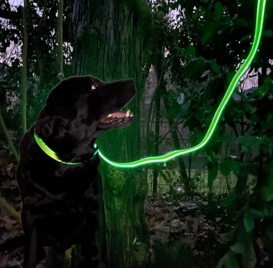 Souvenir Echt niet verraad Night Dog Lichtgevende LED Hondenriem Geel - Oplaadbare Veiligheidsriem  High Quality... | bol.com