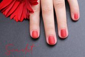 Henna Nail Ink- Scarlet- Felrood- Halal