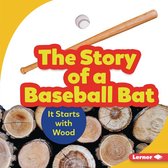 The Story of a Baseball Bat