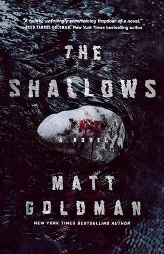 Nils Shapiro-The Shallows - cover