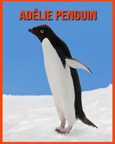 Adelie Penguin