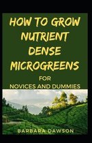 How To Grow Nutrient Dense Microgreens For Novices And Dummies