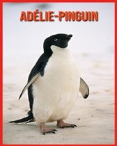 Adelie-Pinguin