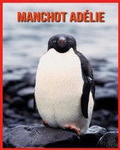 Manchot Adelie