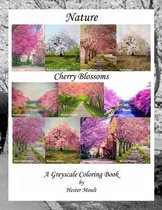 Nature - Cherry Blossoms