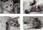 4 stuks Placemat poezen kat poes kitten. Hologram  3D 30 x 40 cm