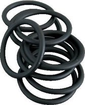 Nefit/Bosch o-ring 29.74x3.53 10 stuks
