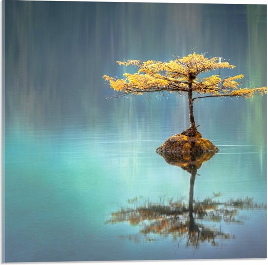 Acrylglas - Getekende Boom met Weerspiegeling in het Water - 50x50cm Foto op Acrylglas (Wanddecoratie op Acrylglas)