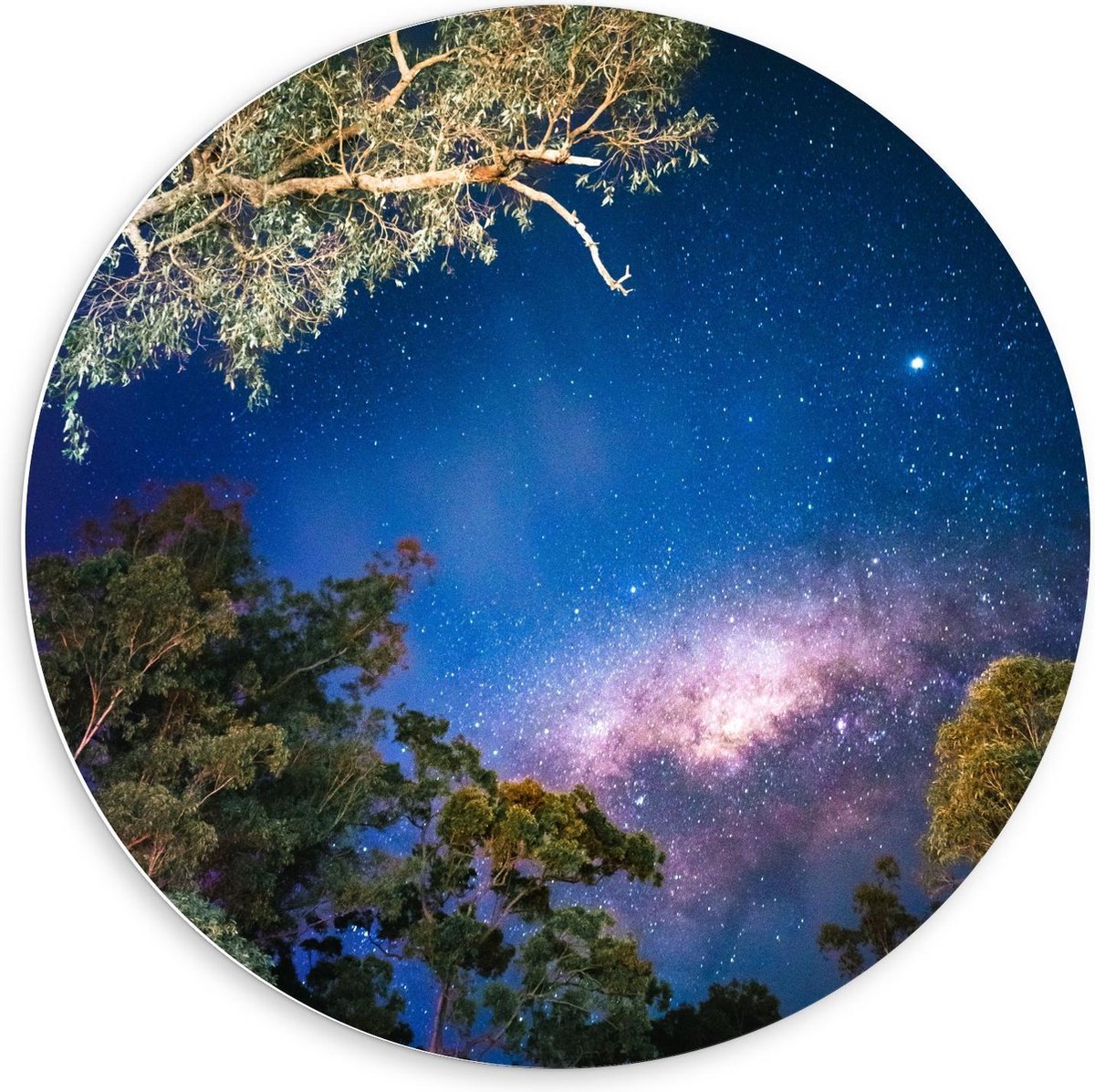 Forex Wandcirkel - Bomen onder Magische Hemel - 60x60cm Foto op Wandcirkel (met ophangsysteem) op Prijzenvolger.com