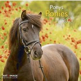 Paarden Kalender 2021 - 30x30 cm - Paarden