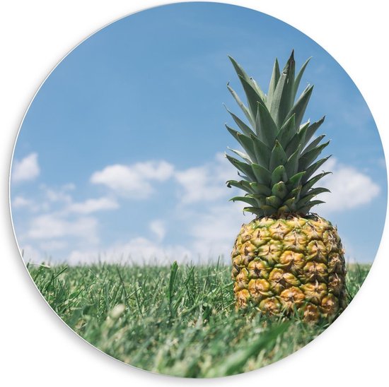 Forex Wandcirkel - Ananas in Groen Gras/Weiland met Blauwe Lucht - 80x80cm Foto op Wandcirkel (met ophangsysteem)