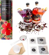 Gin Tonic Geschenkset | Cocktail Set | Gin Tonic Set Inclusief Kruiden | Gin Botanicals