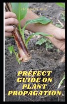 Prefect Guide on Plant Propagation