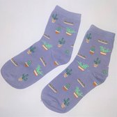 Vrolijke dames sokken "Cactus"