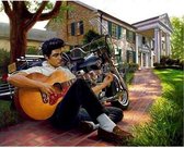 Diamond painting Elvis Presley 40 x 50 cm met gitaar volledige bedrukking ronde steentjes - muziek - direct leverbaar - nieuwe - klassieker - landschap - gitaar - elvis - the king