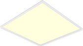 LED Paneel - Aigi Clena - Dimbaar - 60x60 Warm Wit 3000K - 40W Inbouw Vierkant - Mat Wit - Flikkervrij
