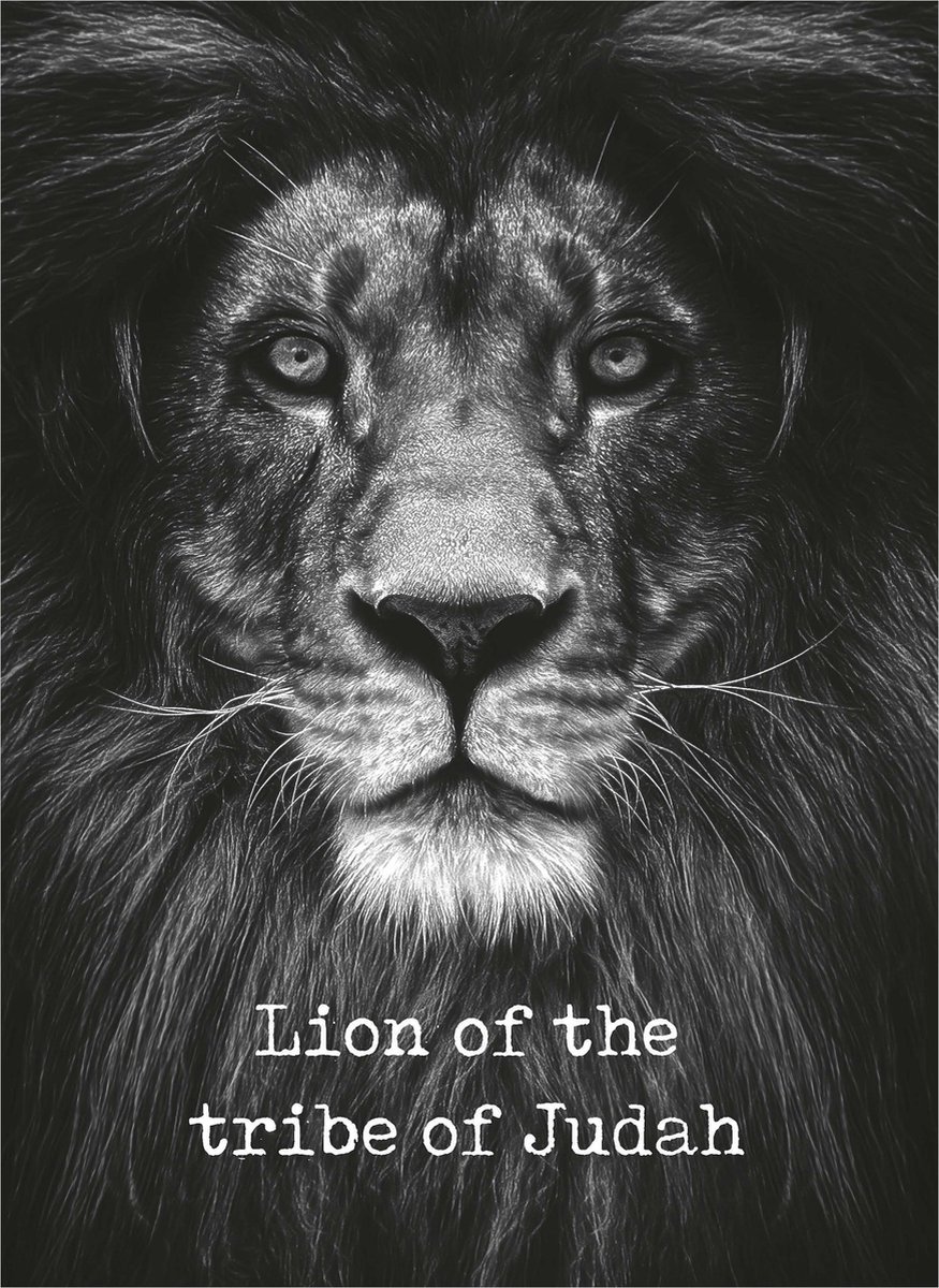MajesticAlly metalen wandbord | A3-formaat | Lion of the tribe of judah | Metal Deco | Christelijke decoratie | Cadeau