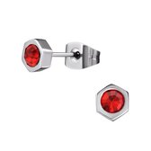 Aramat jewels ® - Zweerknopjes zeshoek rood chirurgisch staal zilverkleurig 5mm