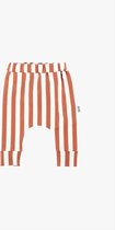Striped Harem Pants - Rust