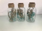 Decoratief glas met kurk - kunstplanten aan de binnenkant - 3 stuks - grote versie