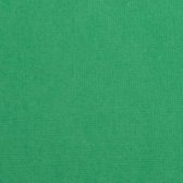 Veassen - Florence • Cardstock texture 30,5x30,5cm Holly