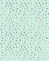 Rose Gold and Mint Composition Notebook - Large Ruled Notebook - 8x10 Lined Notebook (Softcover Journal / Notebook / Diary)