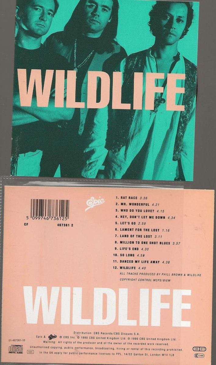 Wildlife - Wildlife